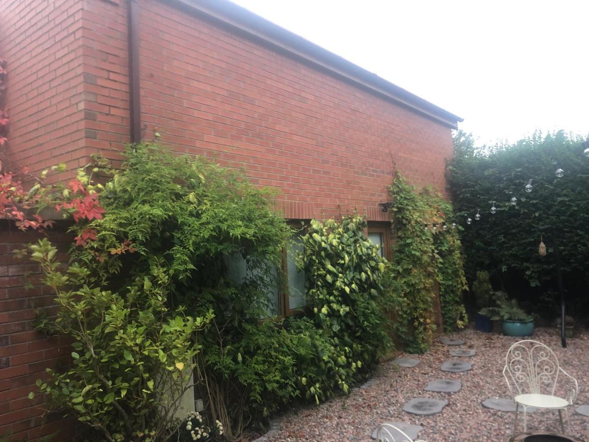 Self Contained Coach House In Leafy South Belfast The Location Is Not Accurate Leilighet Eksteriør bilde